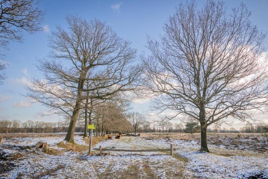 Leva - Logeren In Drenthe Villa Doldersum Exterior photo