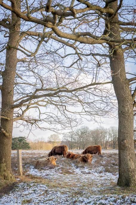 Leva - Logeren In Drenthe Villa Doldersum Exterior photo